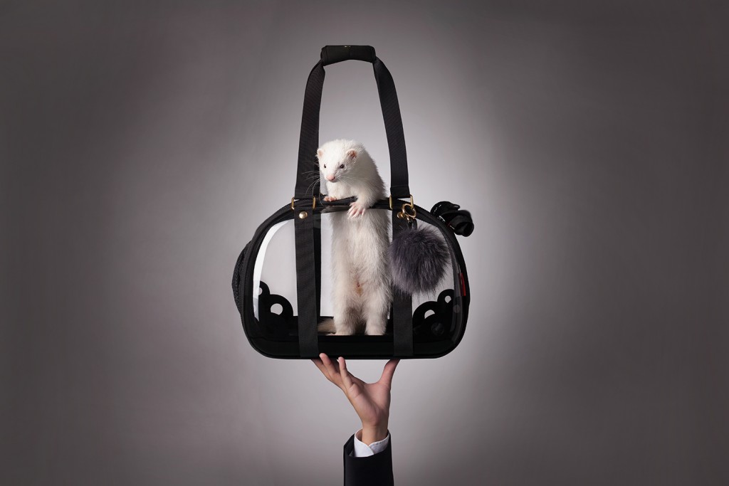01_web_FC1620_ad-01_1500_fix